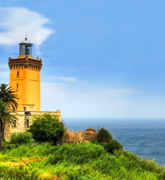11 Days Tour to imperial cities via desert kasbah and coast tour from tangier