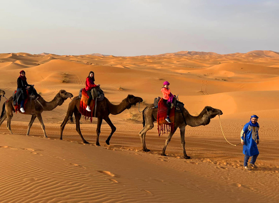 6 Days Trekking from Marrakech - High Atlas and Desert