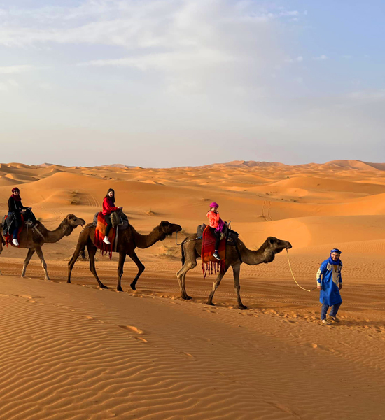 6 Days Trekking From Marrakech - High Atlas And Desert