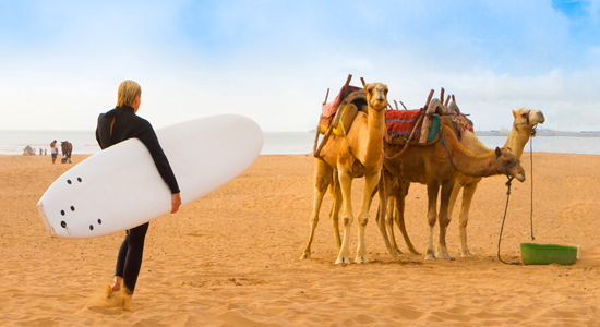 Full day private guided day tour to essaouira mogador from marrakech